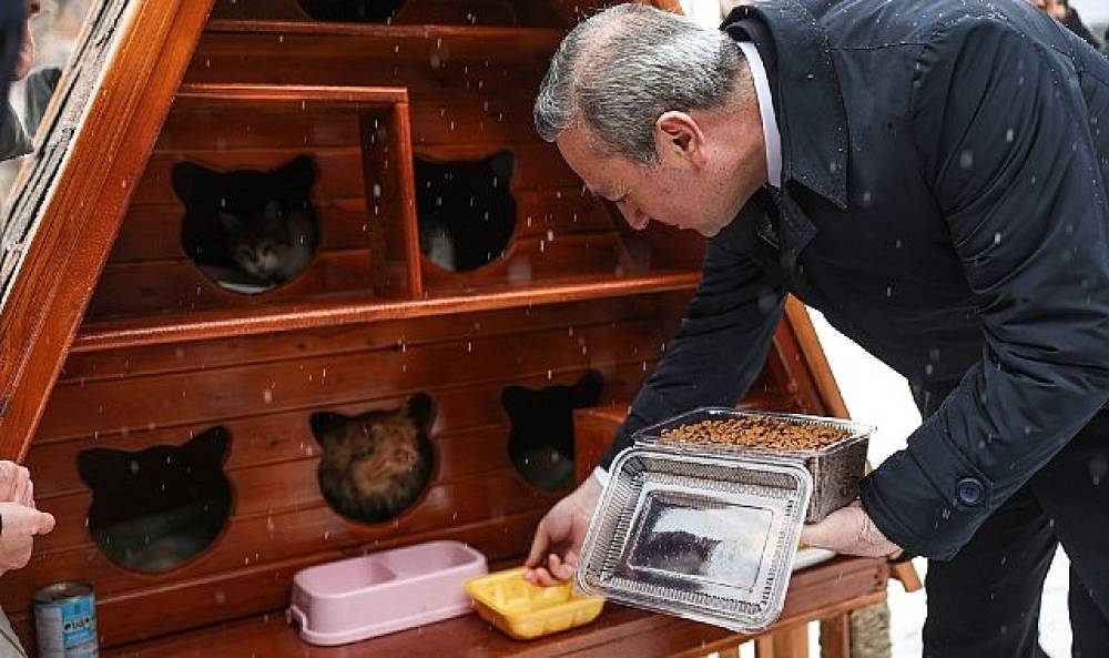 Sivas Belediyesi'nden Kış Günlerinde Kediler İçin Sıcak Yuva