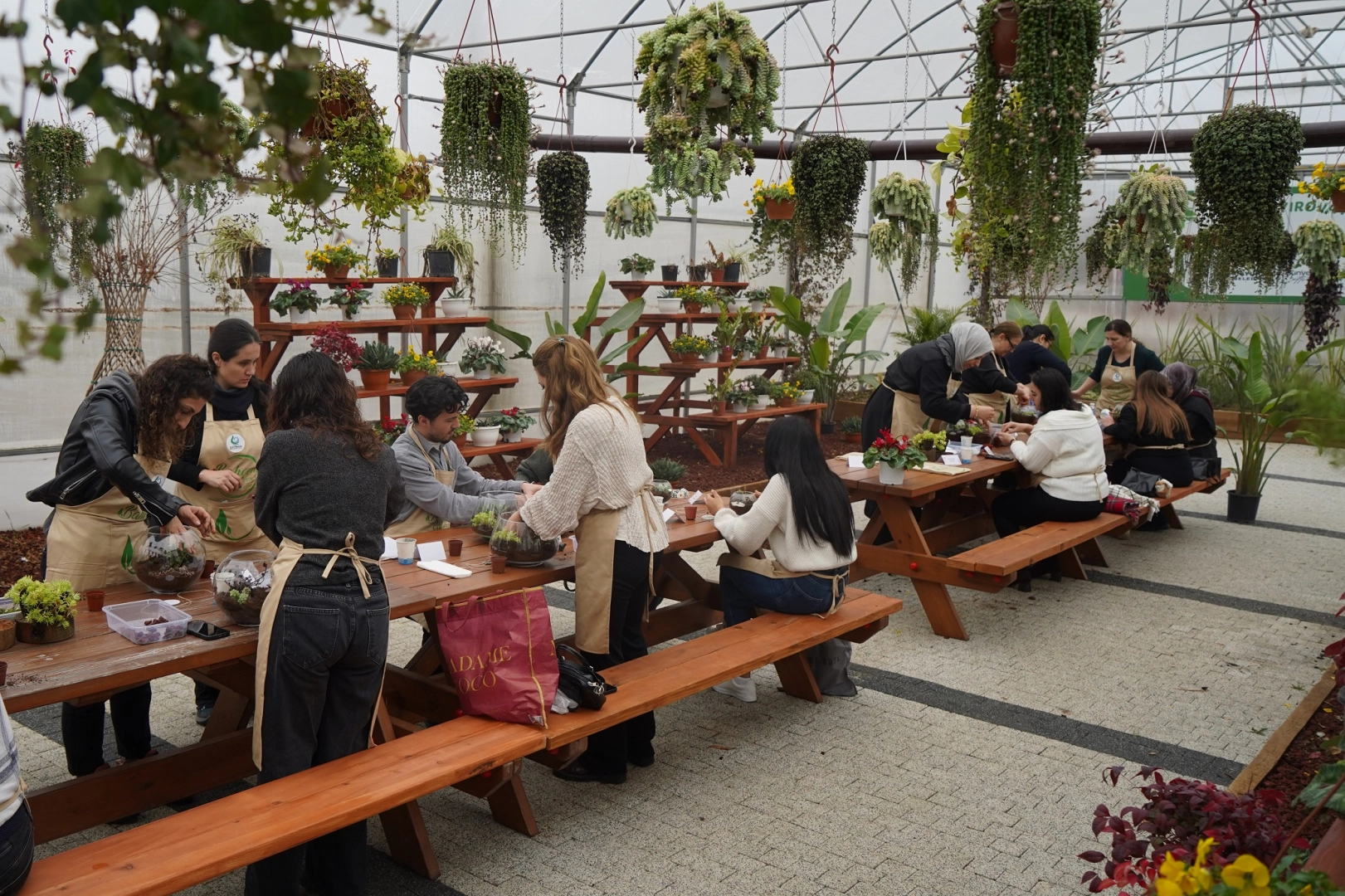 Bah&ccedil;em &Ccedil;ayırova&rsquo;da teraryum at&ouml;lyesi