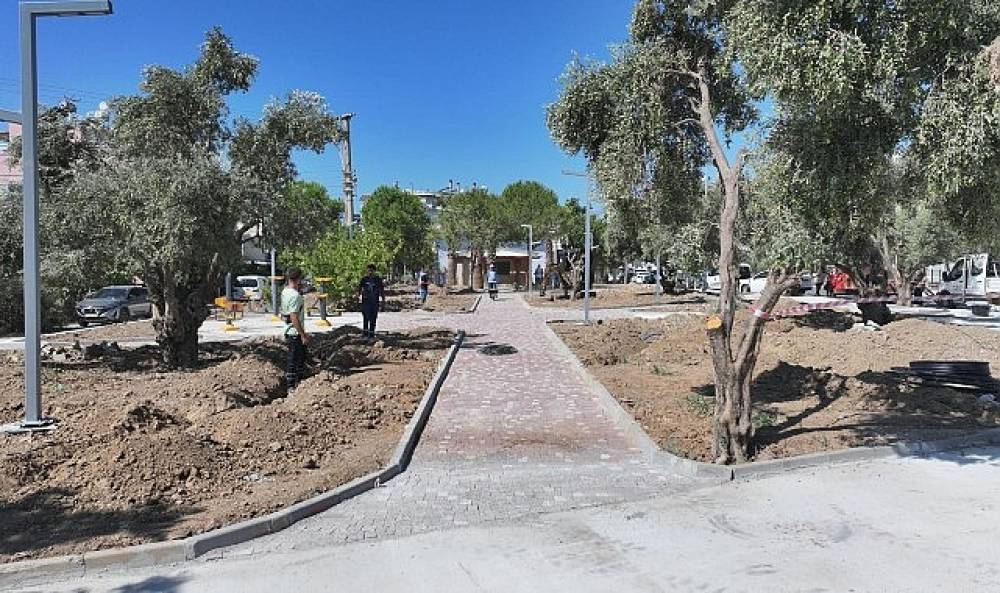 Başkan Hatice Gen&ccedil;ay'ın Se&ccedil;im Vaatleri Arasında Yer Alan Zeytin Park, Didim'in Yeni Yaşam Alanlarından Biri Olmaya Hazırlanıyor