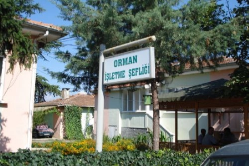 Kepsut&rsquo;a Orman İşletme M&uuml;d&uuml;rl&uuml;ğ&uuml; kuruluyor