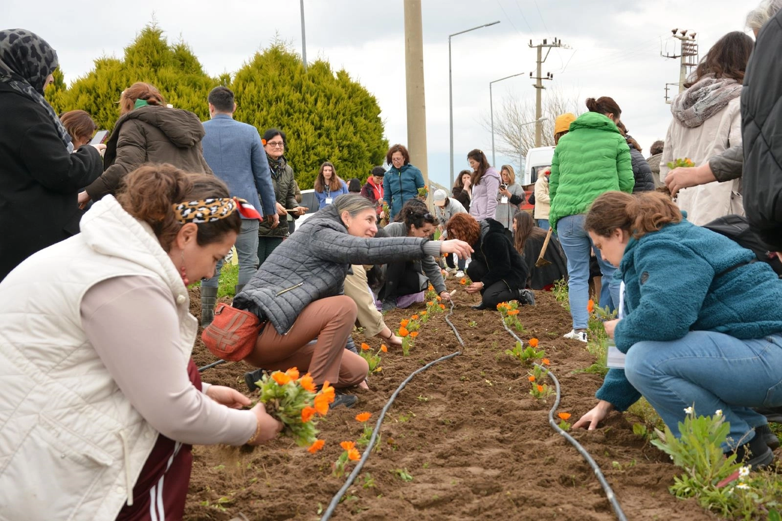 Balıkesir B&uuml;y&uuml;kşehir'den tıbbı ve aromatik bitkiler yetiştiriciliği kursu