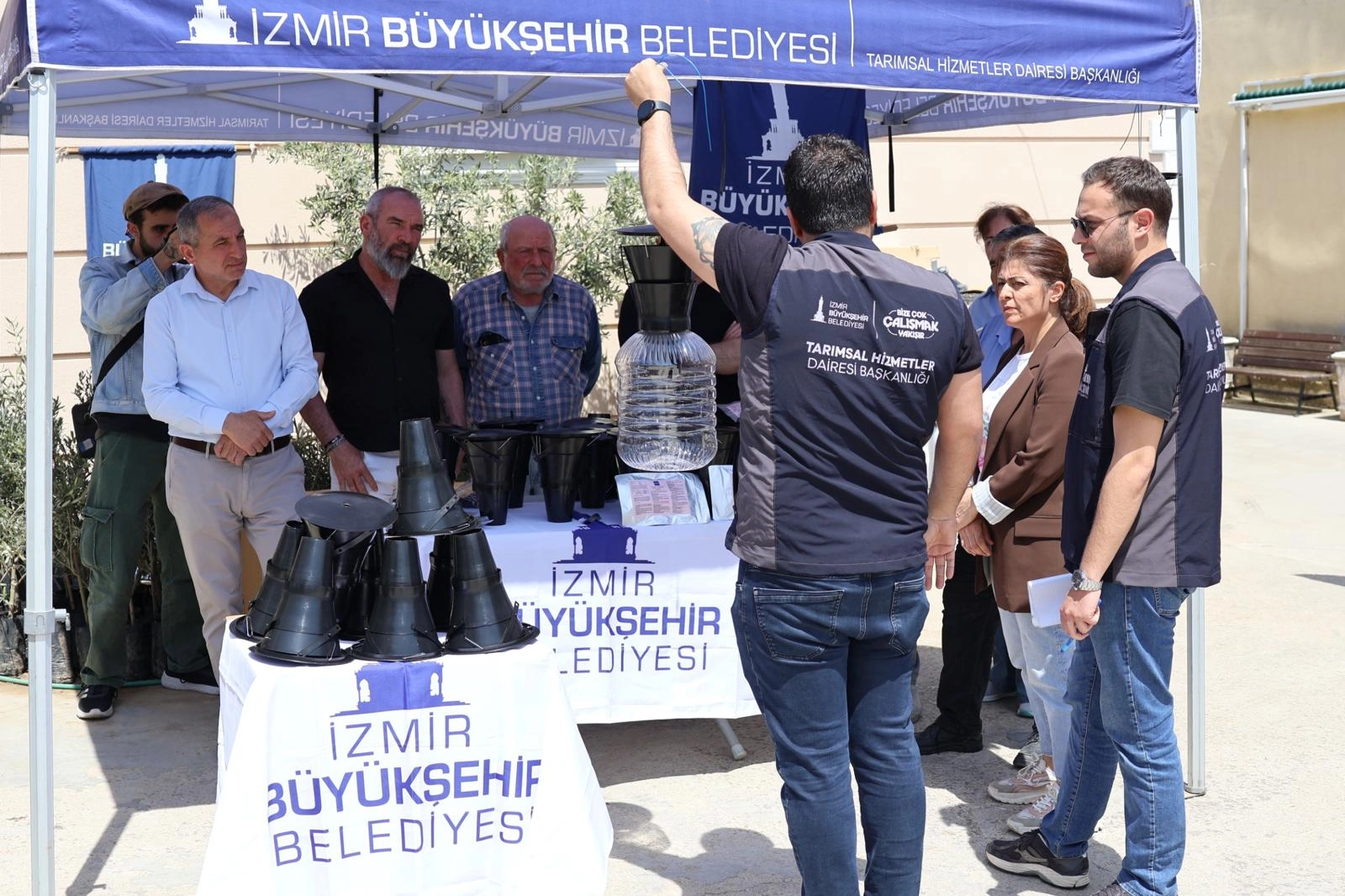 İzmir'de kahverengi kokarca b&ouml;ceğine karşı tuzak