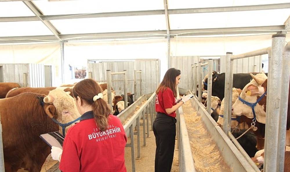 İBB'nin 4 Modern Tesisi Kurban Bayramı İ&ccedil;in Hazır