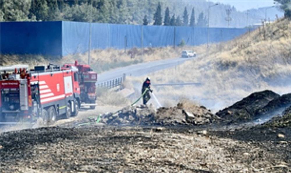 İzmir İtfaiyesi bukalemunu hayata d&ouml;nd&uuml;rd&uuml;