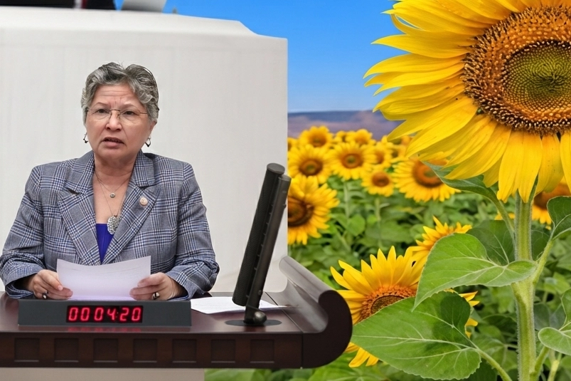 CHP'li Yontar: Ay&ccedil;i&ccedil;eğinde &uuml;retici tarlasını değil, zararını bi&ccedil;iyor