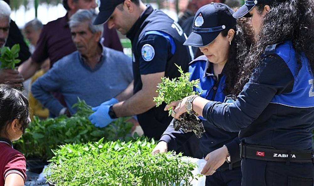 B&uuml;y&uuml;kşehir'den Salihlili &Uuml;reticilere 34 Bin Sebze Fidesi