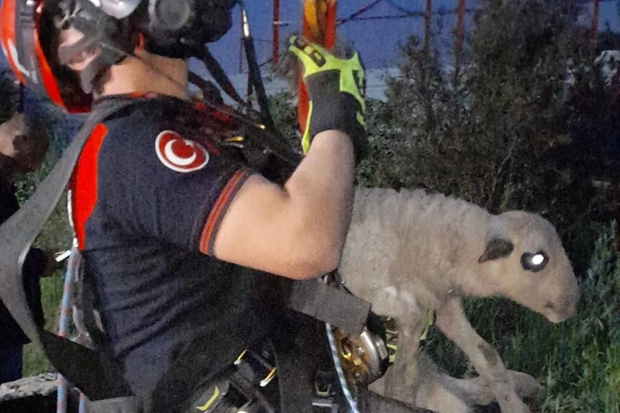 Kuyuya d&uuml;şen kuzuya İzmir İtfaiyesi'nden nefes kesen kurtarma