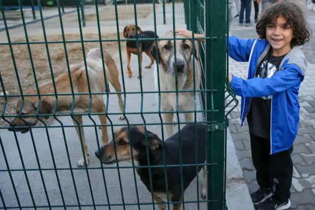 Sokak hayvanları i&ccedil;in &ouml;rnek işbirliği