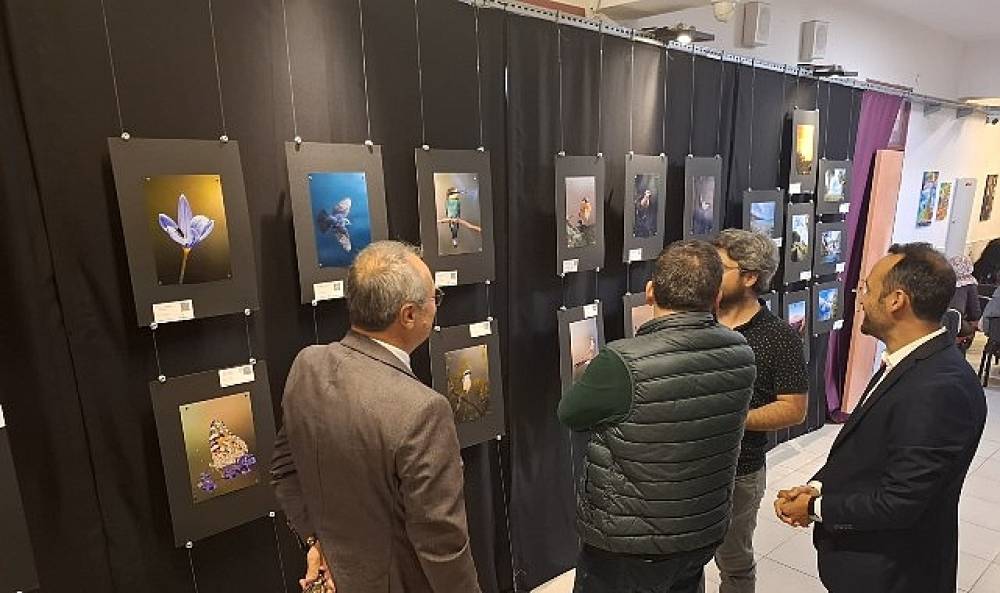 Kemer'de yıl sonu resim sergisi 