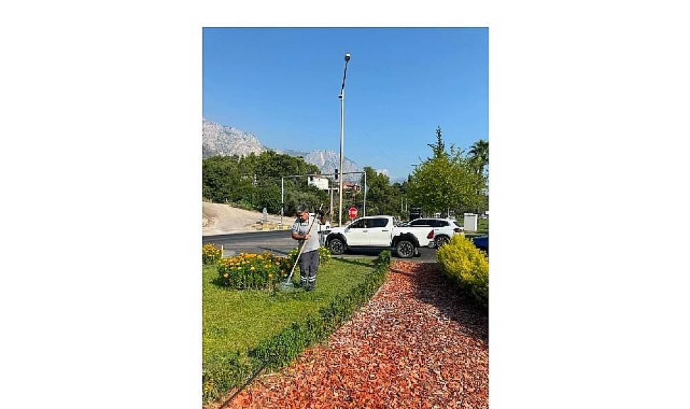 Kemer Atat&uuml;rk Caddesi'nde peyzaj &ccedil;alışması