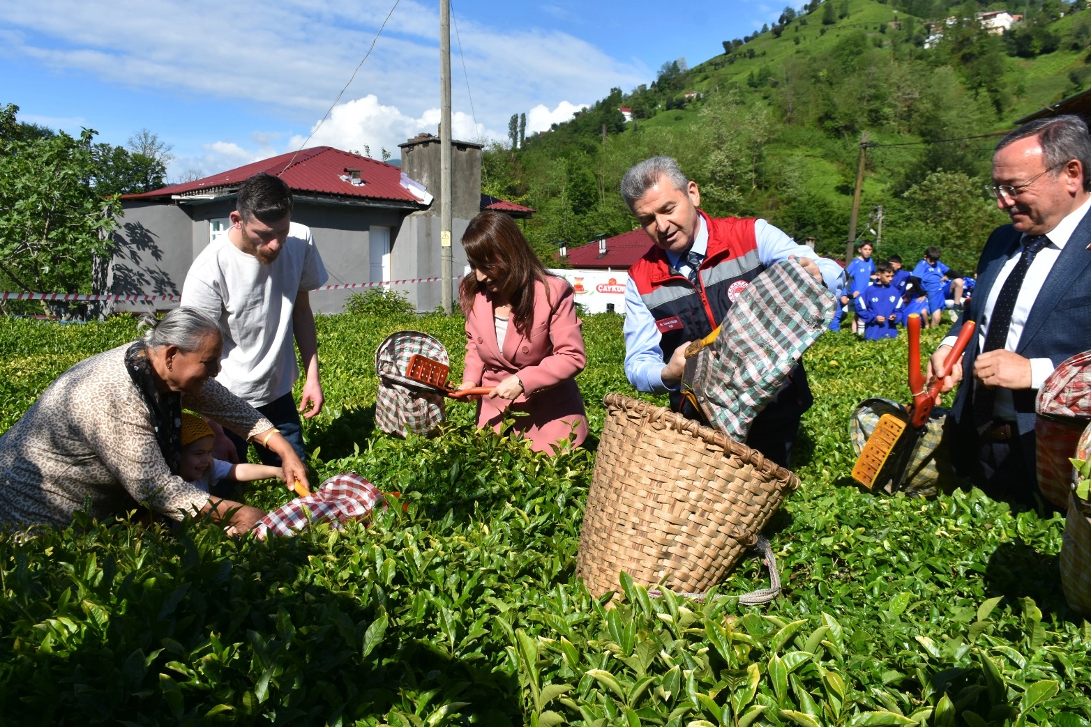 Artvin'de geleneksel &ccedil;ay hasadı başladı