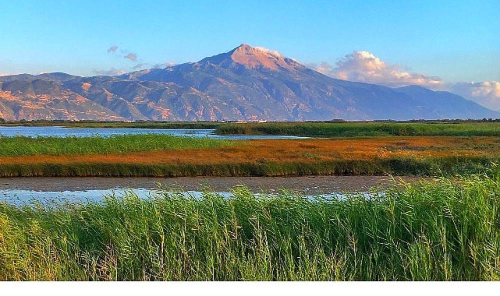 Milleyha Doğa G&ouml;zlem Merkezi, 13 Şubat'ta &Uuml;&ccedil; G&uuml;n S&uuml;recek "Doğa Buluşması" ile Kapılarını A&ccedil;ıyor.