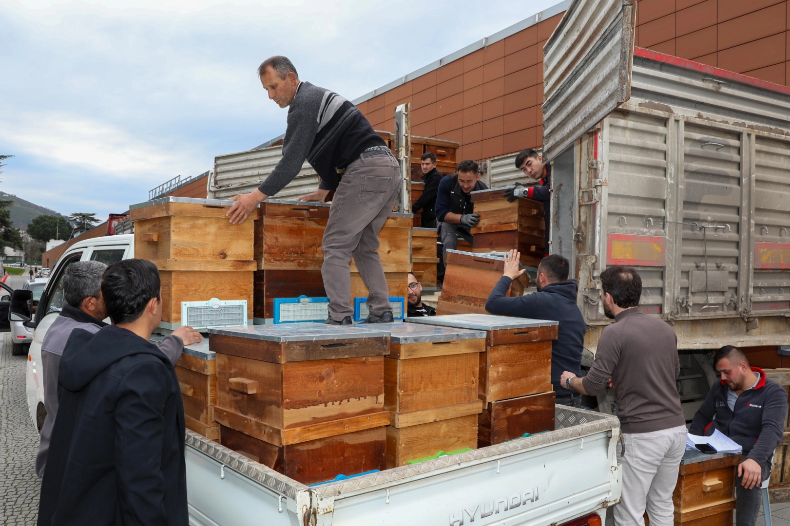 Bursa'da arıcılık B&uuml;y&uuml;kşehir'le canlandı
