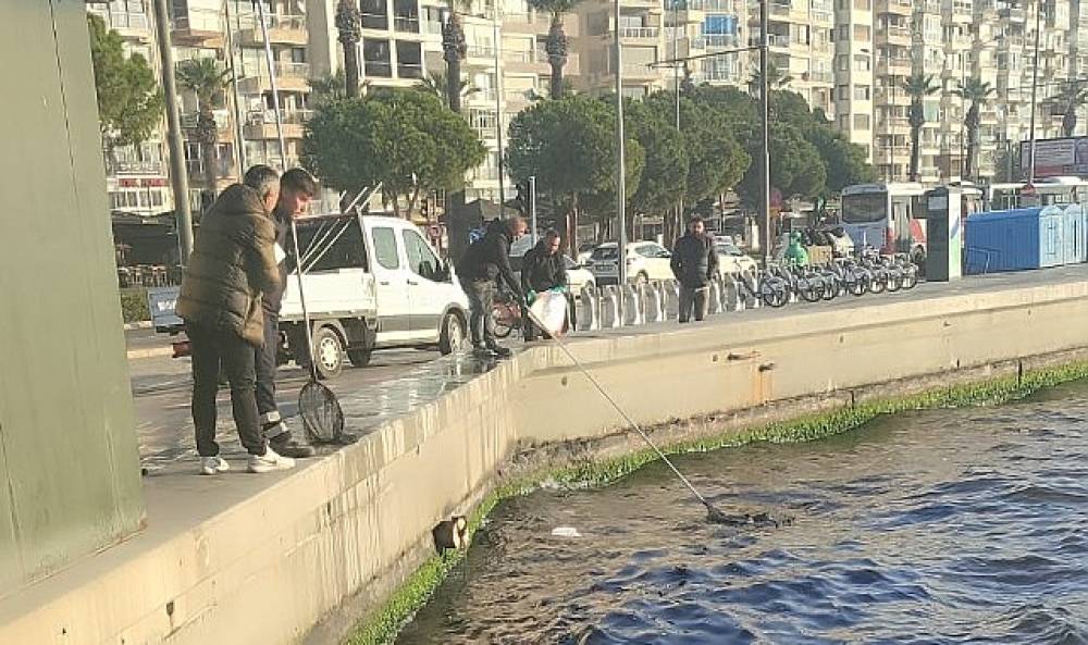 Başkan Tugay bakanlık yetkililerini göreve çağırdı  “Bu ihanetin gereğini yapın