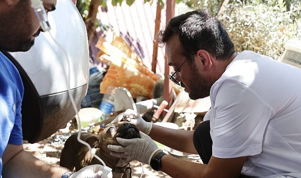 B&uuml;y&uuml;kşehir yaraları sarmak i&ccedil;in yangın b&ouml;lgesinde
